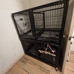 42inch Breeders Cage Or Pet Salon Cage 