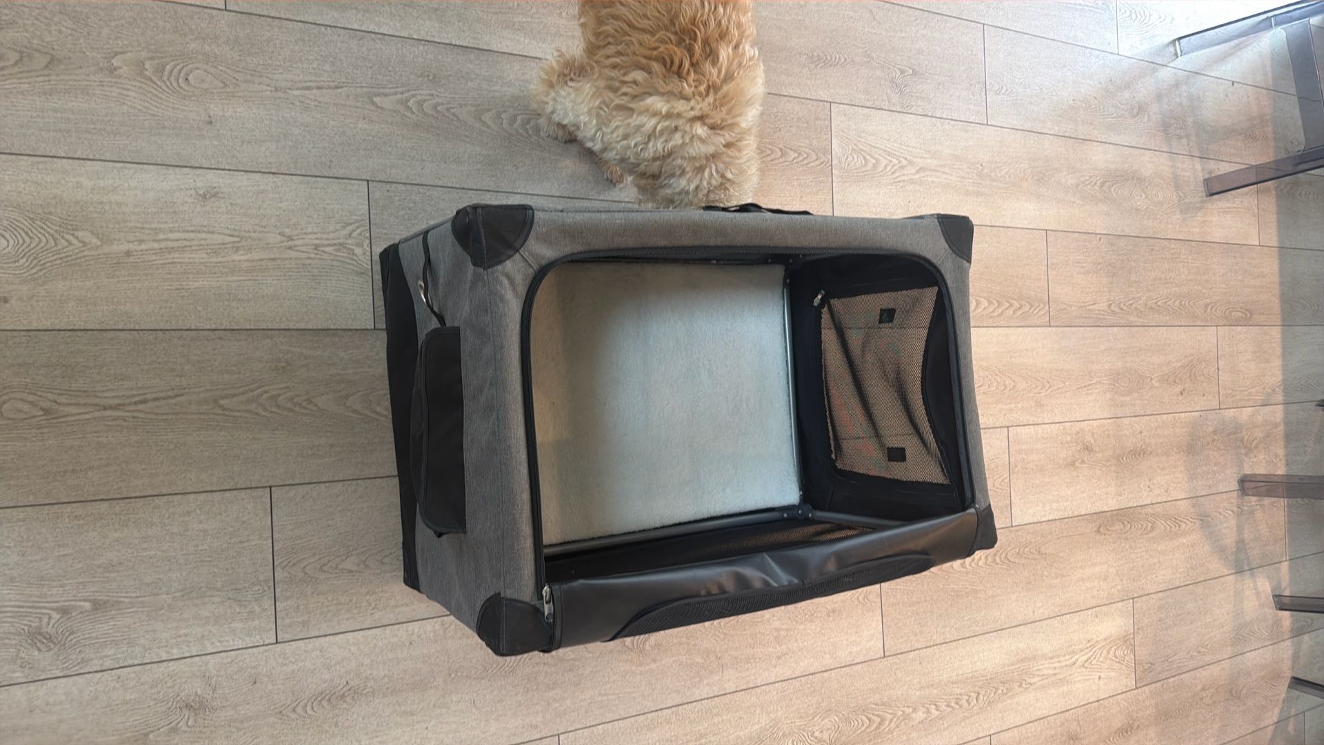 EveryYay Going Places Stow & Go Portable Canvas Dog Crate