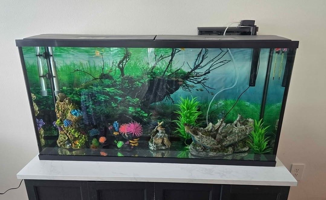 55 Gallons Aquarium 