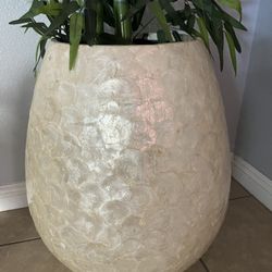 Huge Plant Holder 