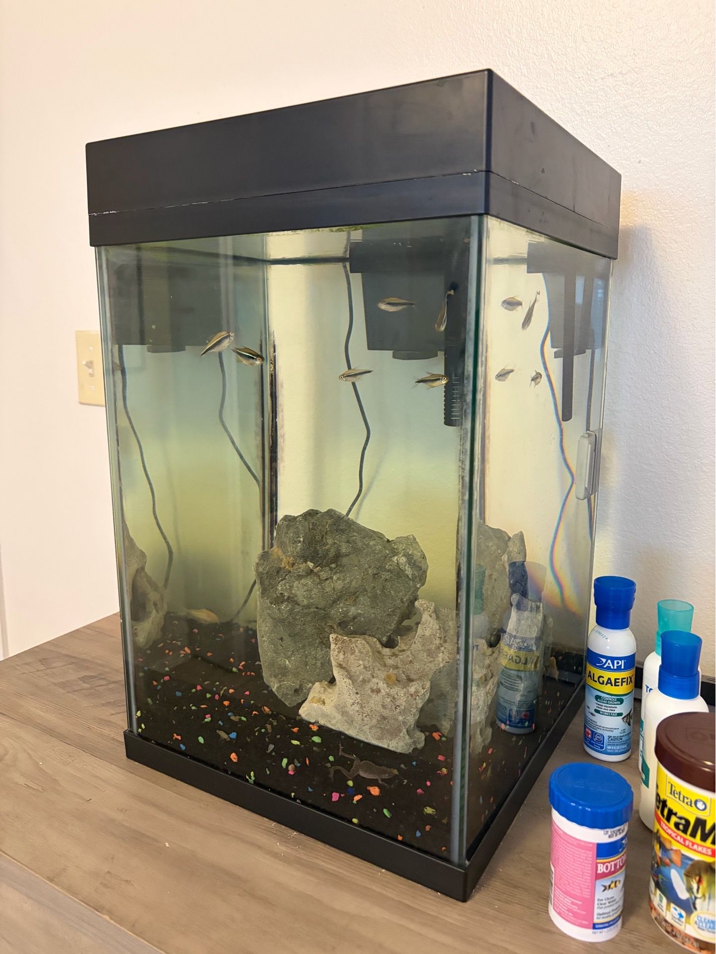 Fish tank - 10 Gallon