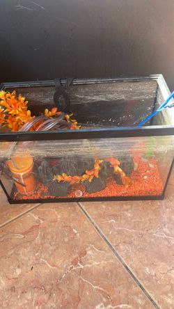 Fish tank with some accessories and a filter/ Pecera  con albinos accessories y filtro