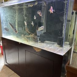 Fish Tank Aquarium 340 Gallon Acrylic 