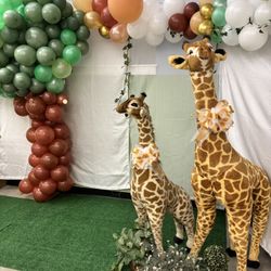 2x Giraffes  