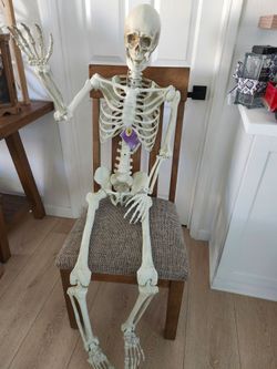 Full Size Human Skeleton Model Replica