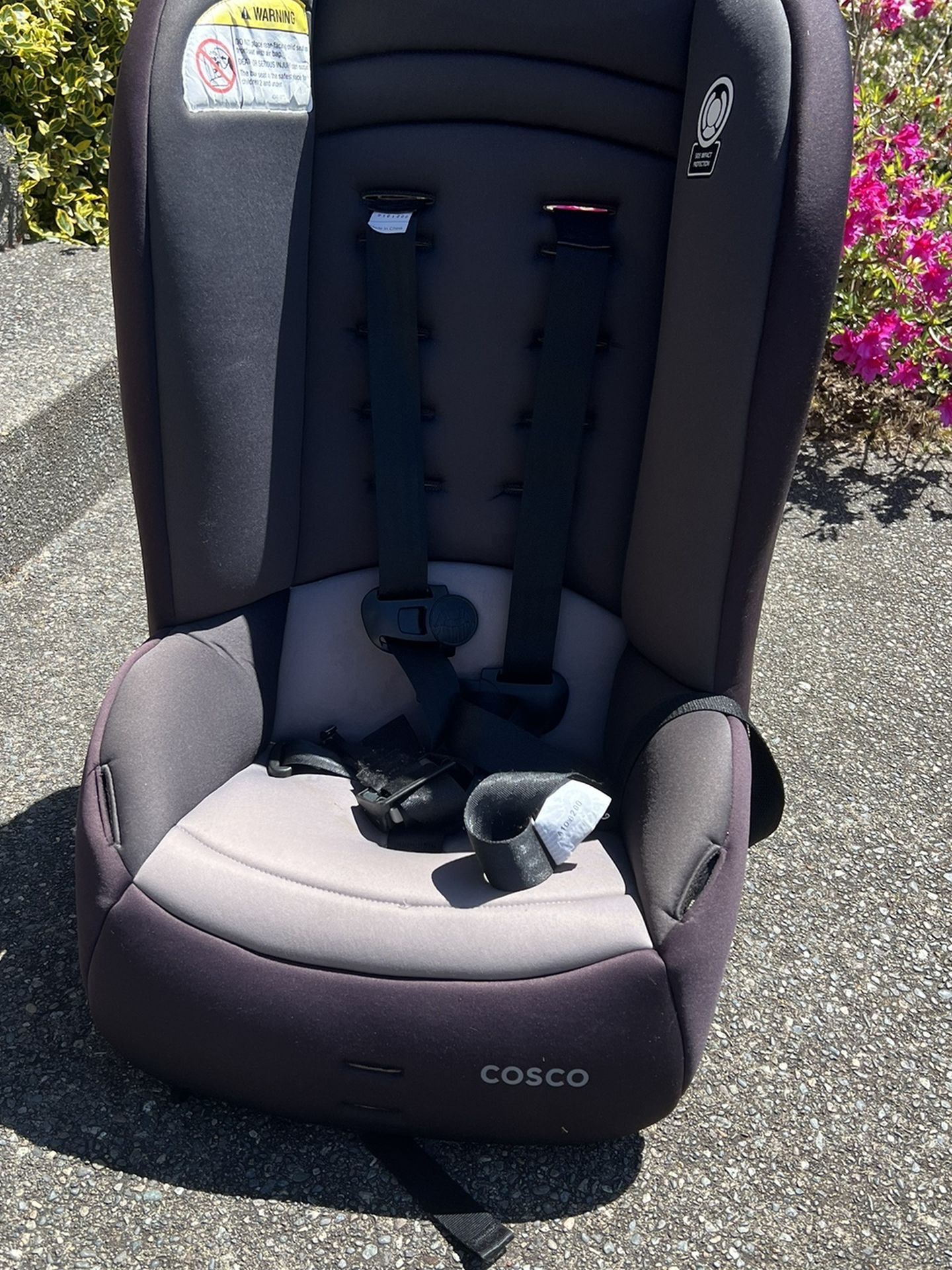 Toddler car seat 