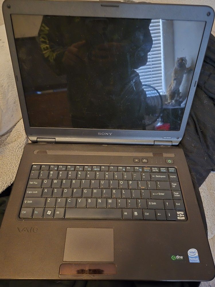 Sony Vaio Laptop $100