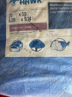 Tarp