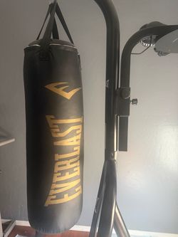 Punching/Speed Bag Combo
