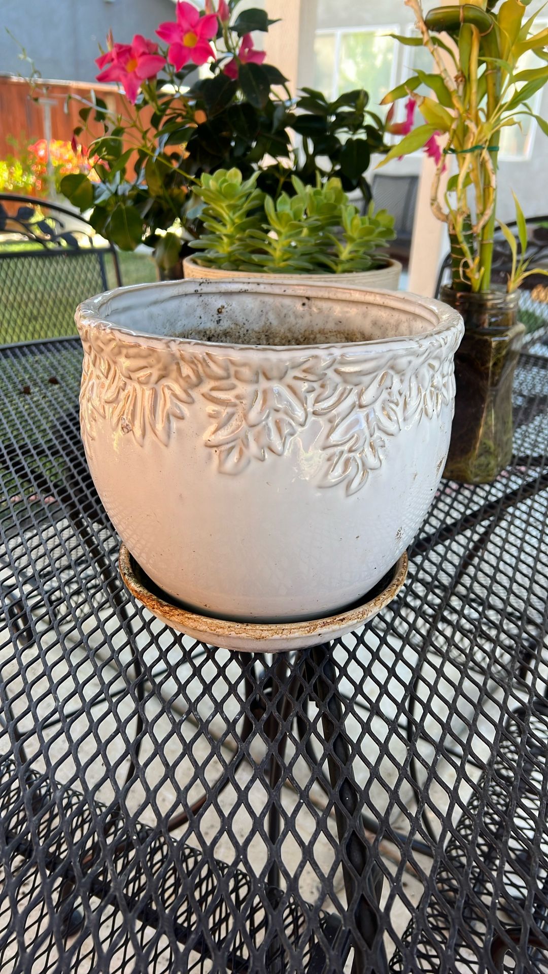 Ceramic Pots $20 Each