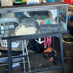 20 Gallon  Aquarium/turtle With Stand