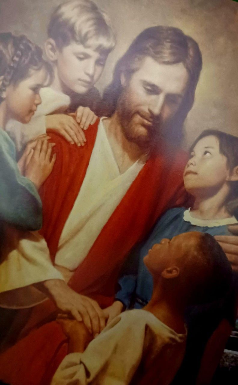 LDS EDUCATION LARGE SET, COLLECTOR DARK CRYSTAL MOVIE BOOK, COLLECTOR 1ST ED. NEWFOUNDLAND DOG BREED GENTLE GIANTS