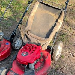 Personal Pace Self Propelled Mower