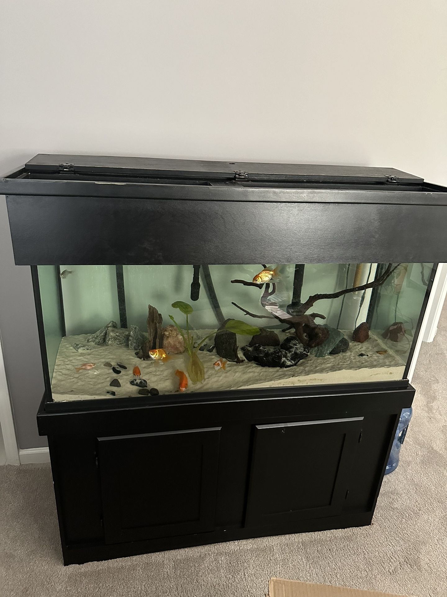 75 Gallon Aquarium