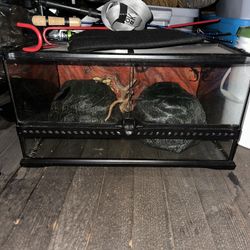 Terrarium Enclosure 