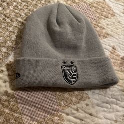 Grey Earthquakes Beanie From Store 
