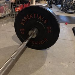 55 lb bumper plates pair