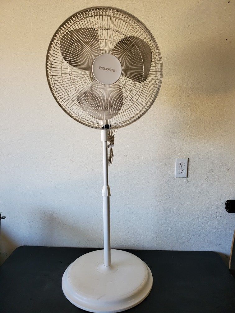 Pedestal Fan