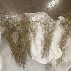 Gold Curly Ting Stems