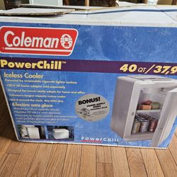 Iceless Electric Cooler