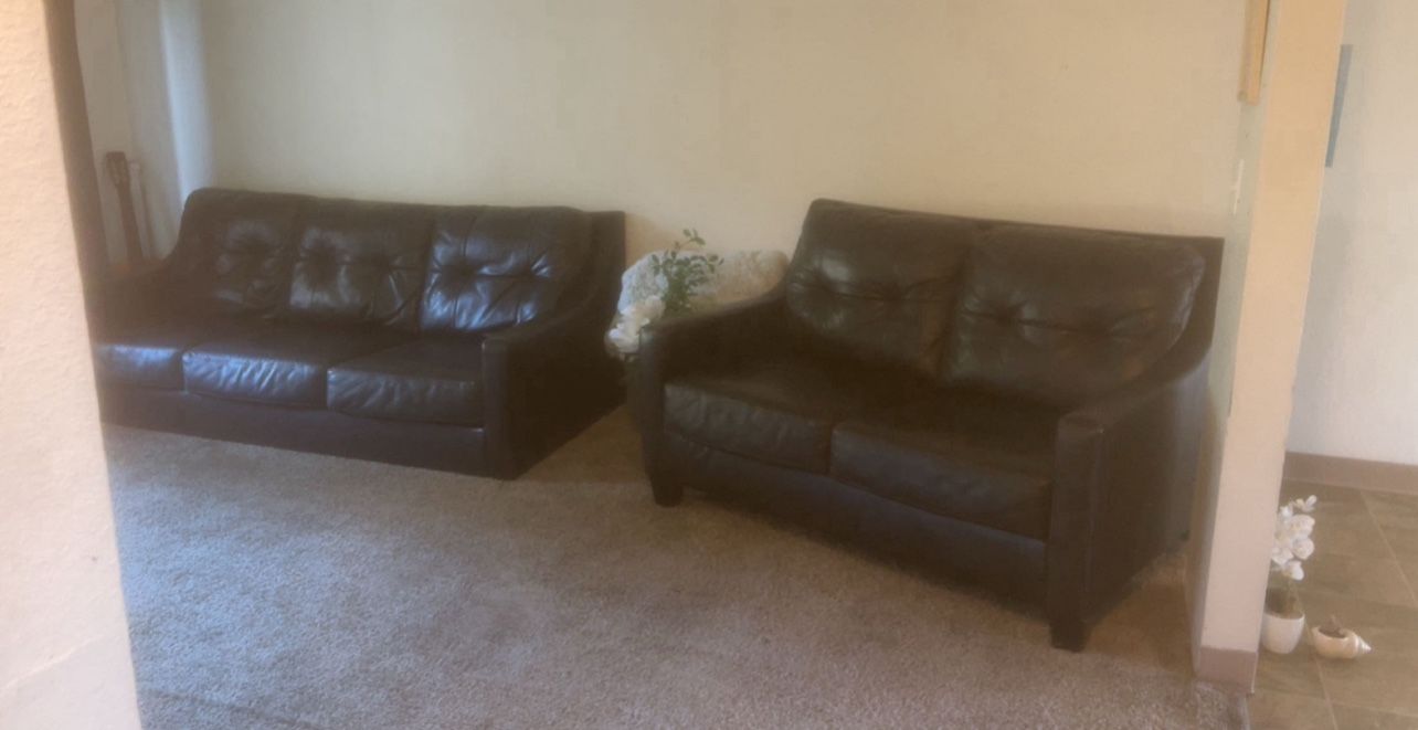 Dark Brown Leather Couch & Loveseat