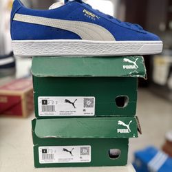 Puma 
