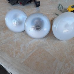 Free 65 Watt Bulbs