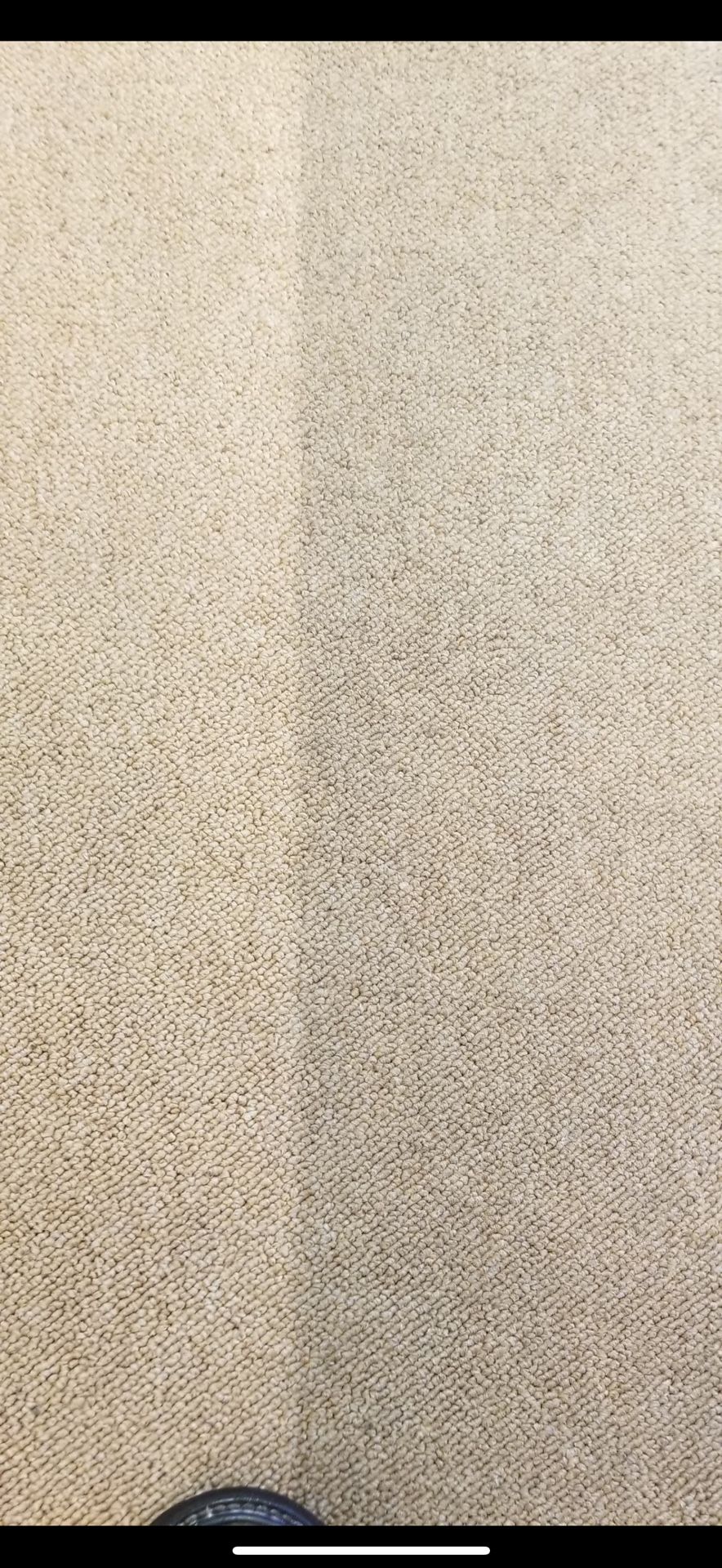 Carpet Rug 