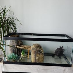 Turtle Tank