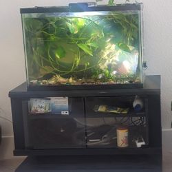 Aquarium + Stand  + Fish + Many Accessories 