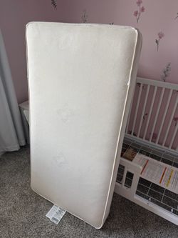 Sealy crib mattress