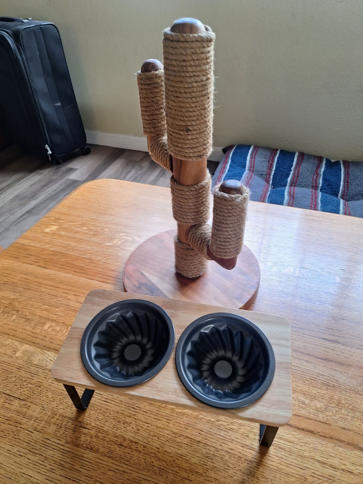 Cactus scratching post and feeding bowls