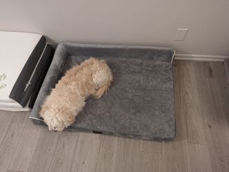 Large Size Washable Dog Bed