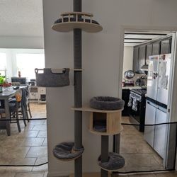 Cat Tree 