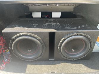 Bass brand new two months old