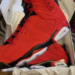 Jordan 6 Toro Bravo