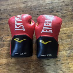 Everlast Pro Style Elite Exercise Workout Boxing Gloves 