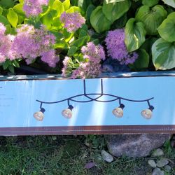 Hanging Accent Light Fixture