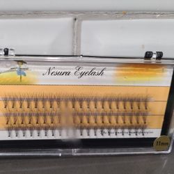 Lash Extensions