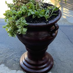 Flower Pot Ceramic