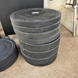 Hi Temp Olympic Bumper Weight  Plate Set