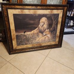46x37 Picture Frame