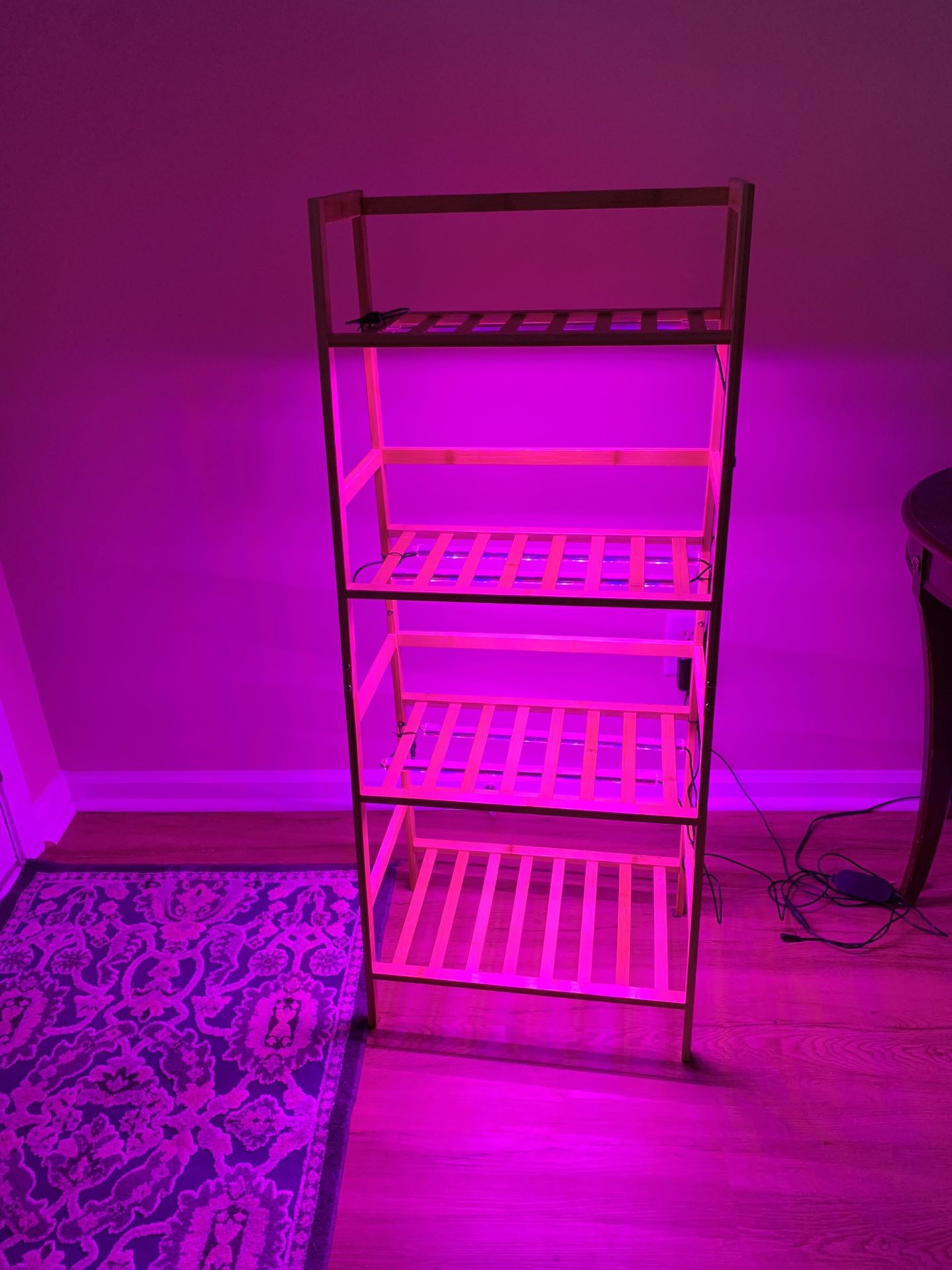Plant Stand With Grow Lights