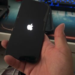 iPhone 13 Mini 