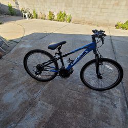 Trek Giant Bike