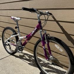 Aluminum Bike 🚴 Trek Sz  24 