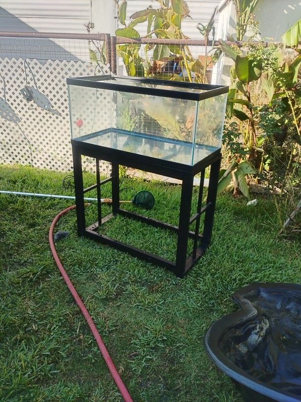 20 Gallon Aquarium Used With Metal Stand Good Condition $45