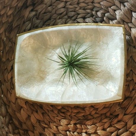 Capiz Shell Tray