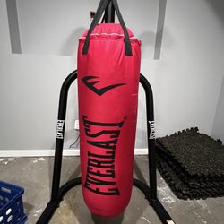 Punching Bag With Gloves