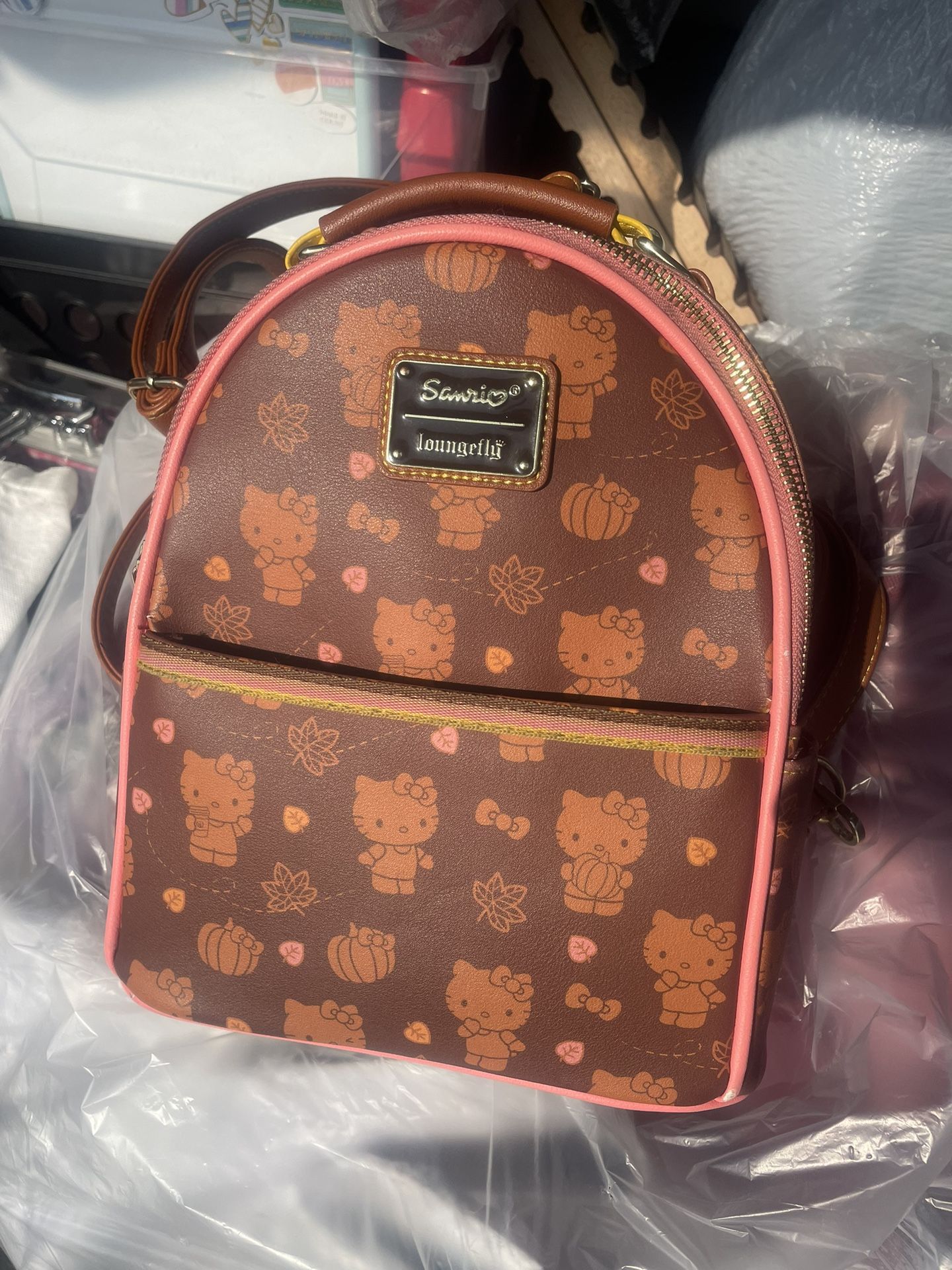 Hello Kitty Back Pack